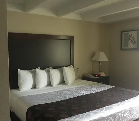 Days By Wyndham West Hotel 2*